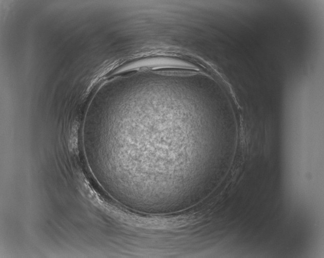 X0000085290010200703161502