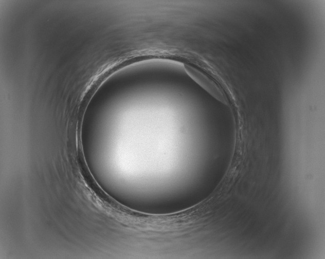 X0000085290011200703161502