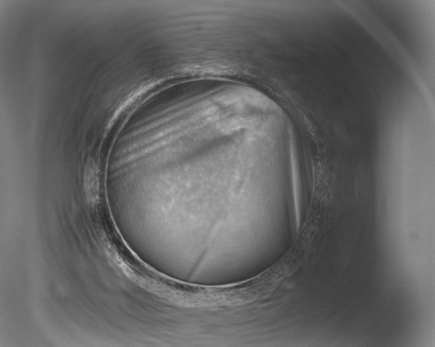 X0000085290012200703161502