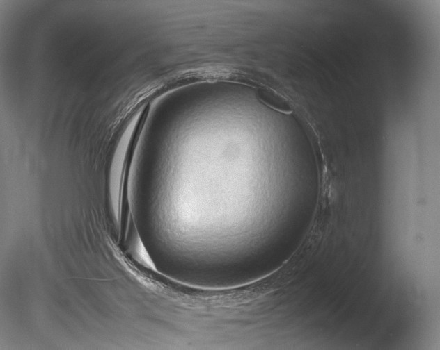 X0000085290013200703161502