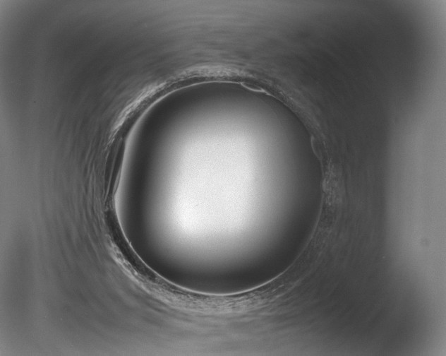 X0000085290015200703161502