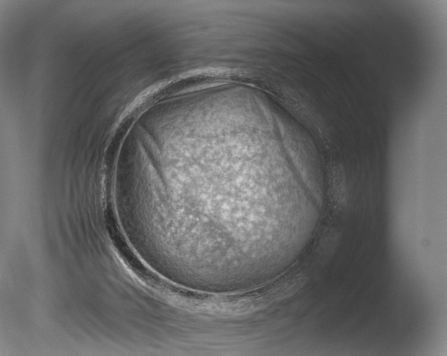 X0000085290016200703161502