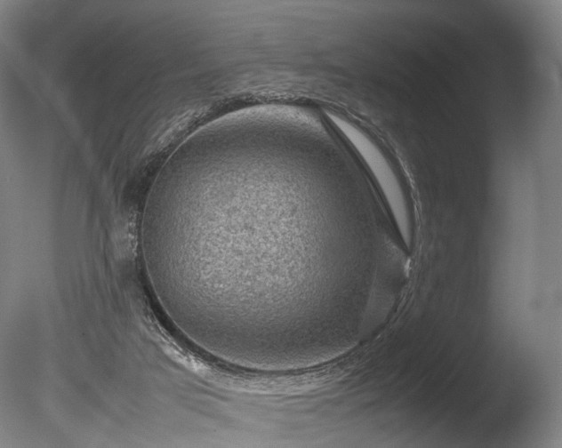 X0000085290017200703161502