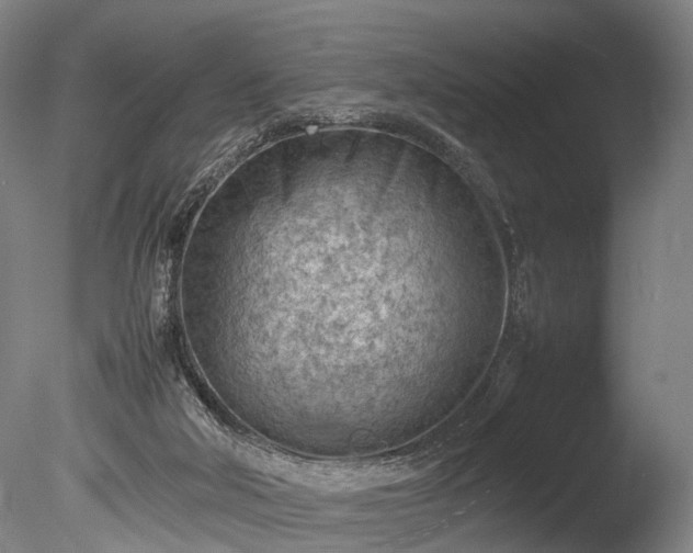 X0000085290018200703161502