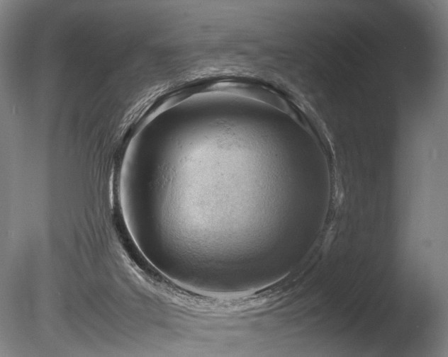 X0000085290019200703161502