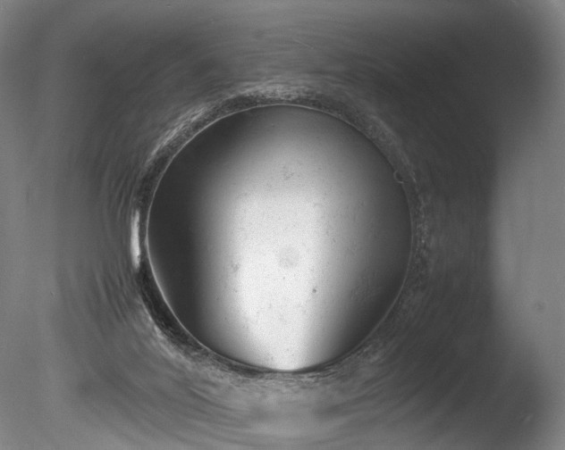 X0000085290020200703161502