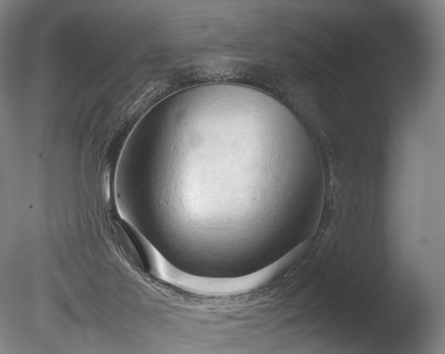 X0000085290021200703161502