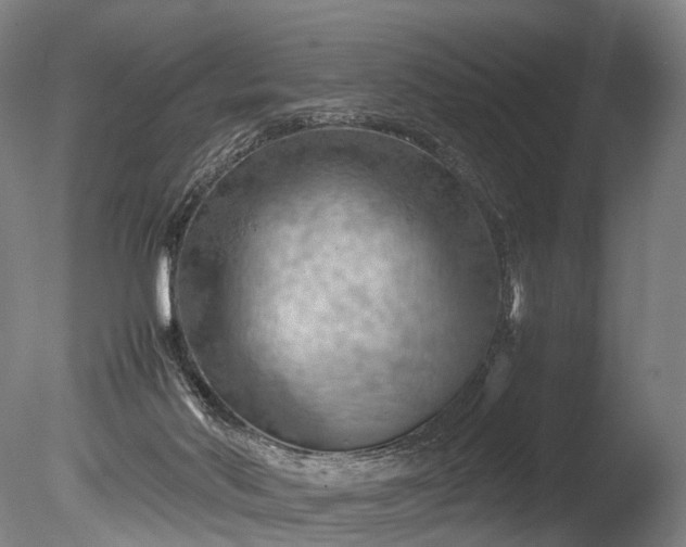 X0000085290022200703161502