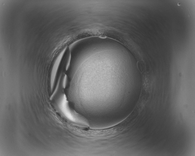 X0000085290023200703161502