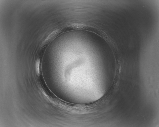 X0000085290024200703161502