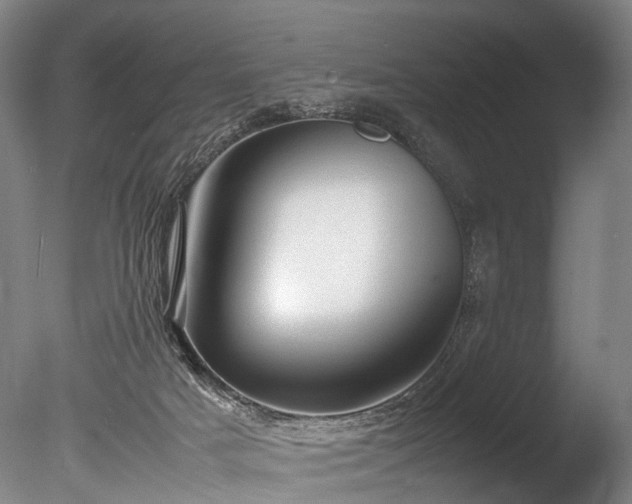 X0000085290025200703161502