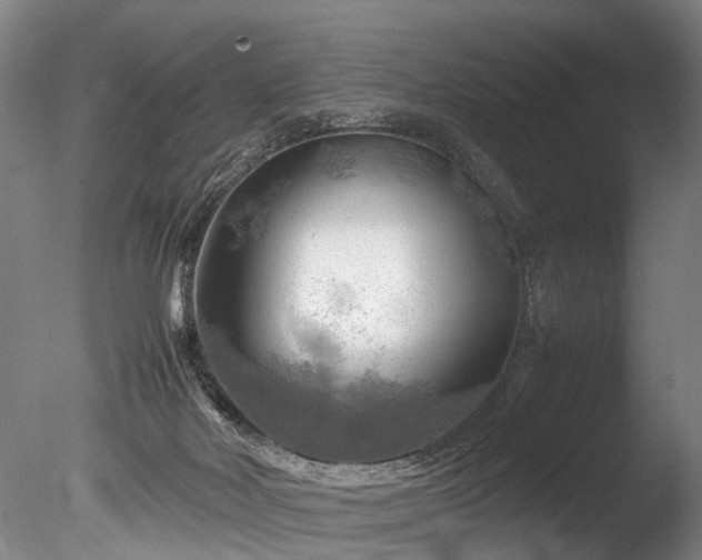 X0000085290026200703161502