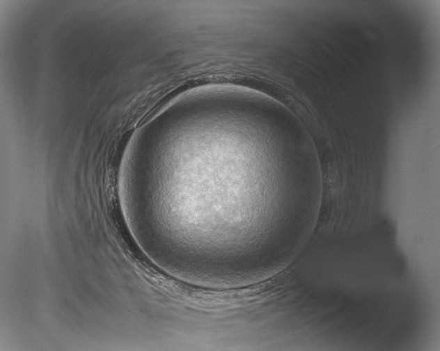 X0000085290029200703161502