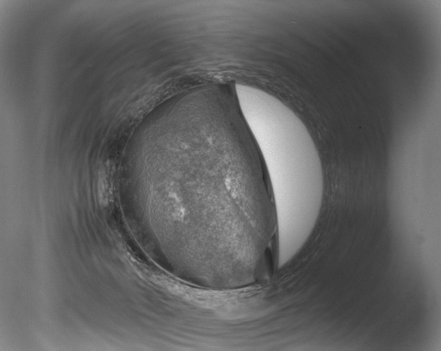 X0000085290030200703161502