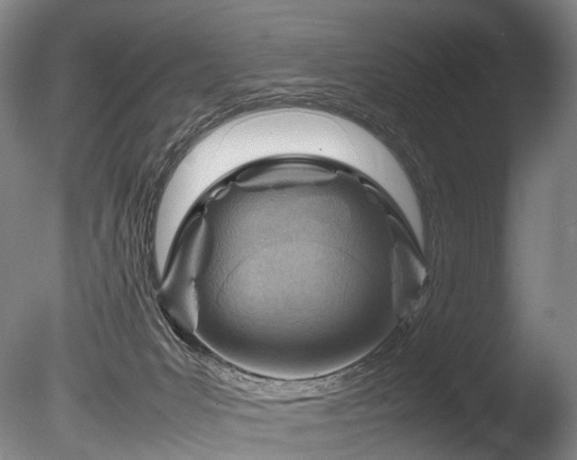 X0000085290031200703161502