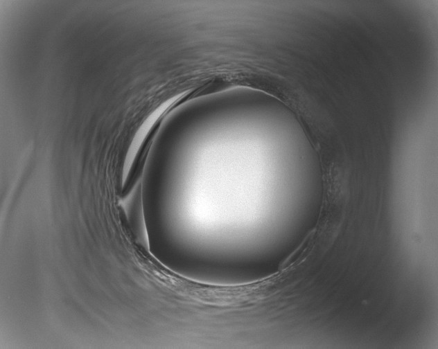 X0000085290033200703161502