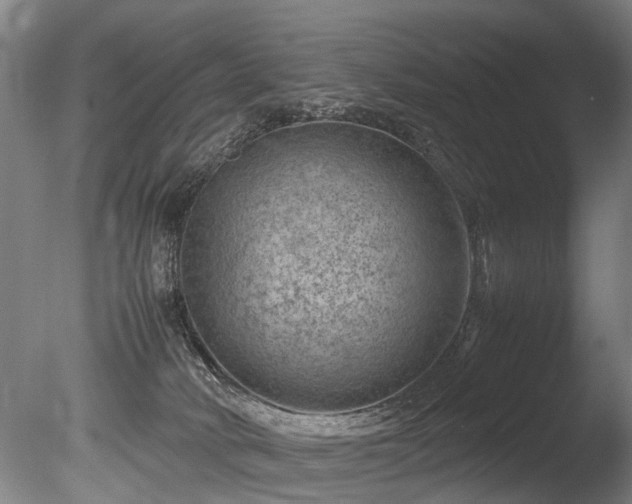 X0000085290034200703161502