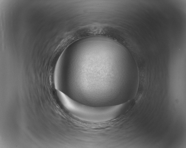 X0000085290035200703161502