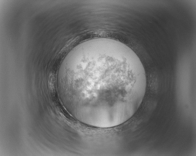 X0000085290036200703161502