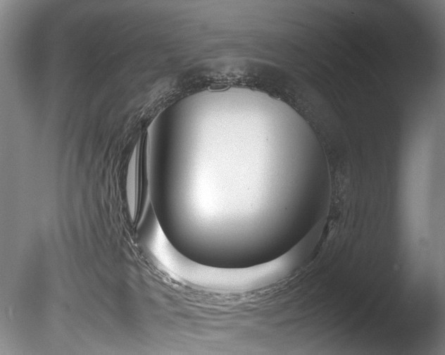 X0000085290037200703161502