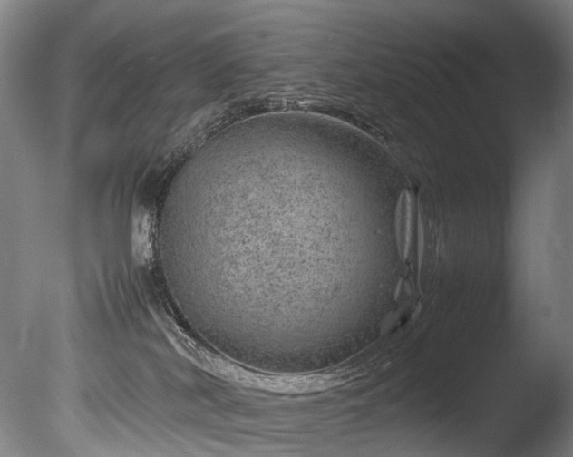 X0000085290038200703161502