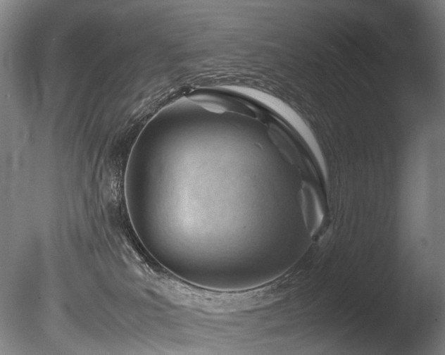 X0000085290039200703161502