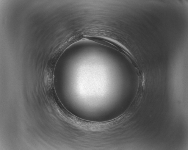 X0000085290040200703161502