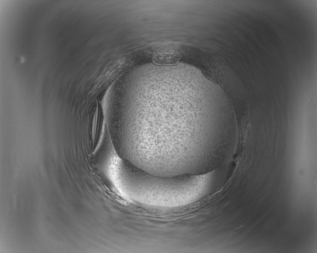 X0000085290041200703161502