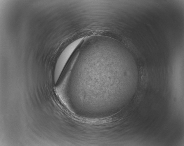 X0000085290042200703161502