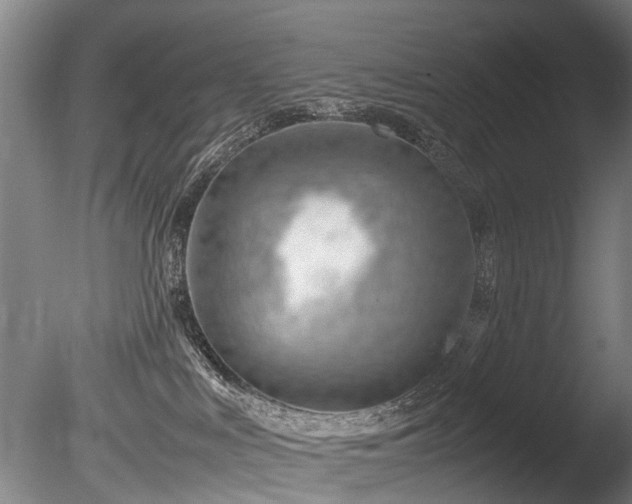 X0000085290043200703161502