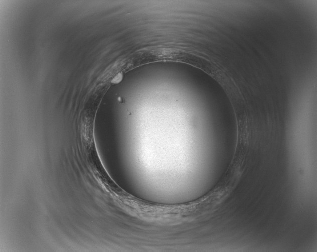 X0000085290044200703161502