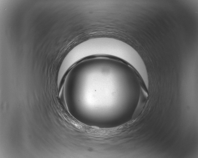 X0000085290045200703161502