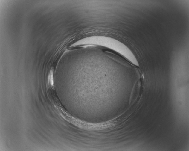 X0000085290046200703161502