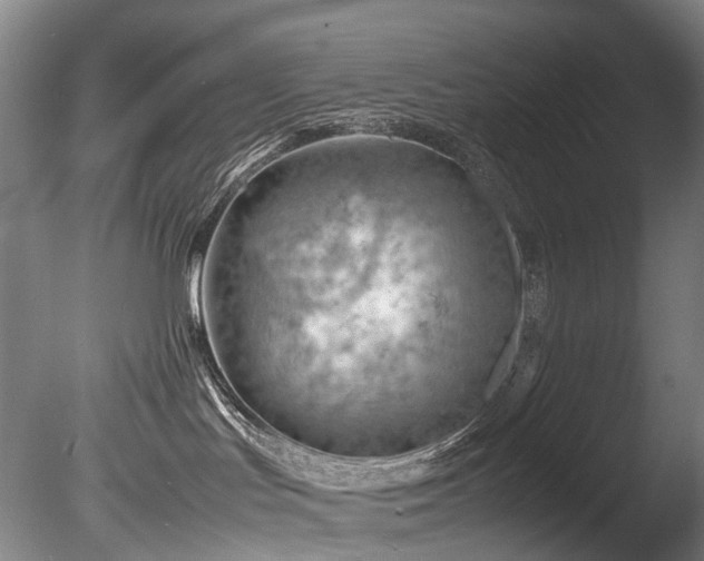 X0000085290047200703161502