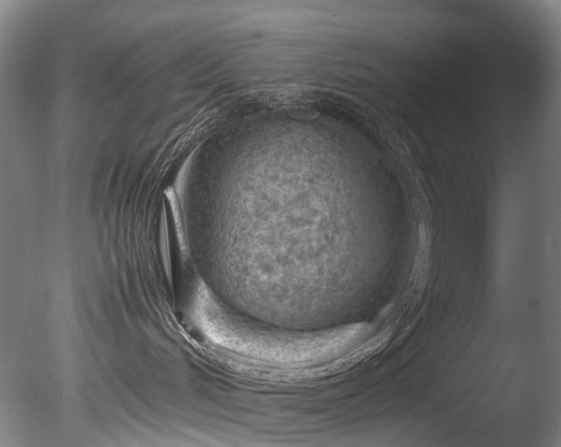 X0000085290048200703161502