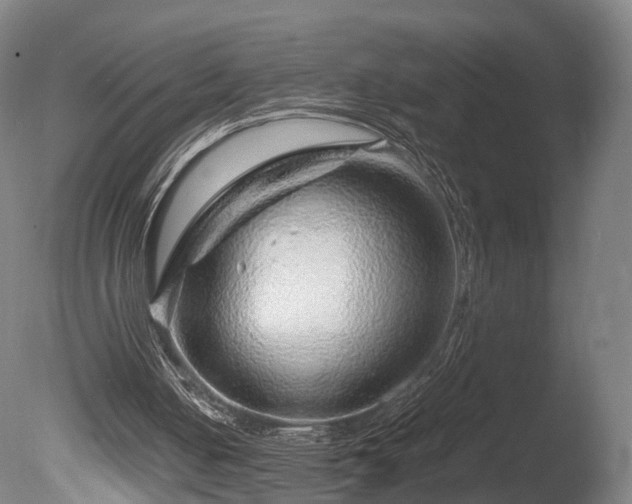 X0000085290050200703161501