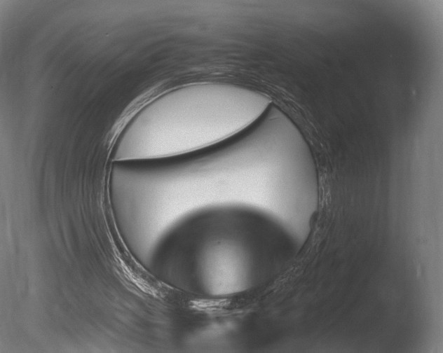 X0000085290051200703161501