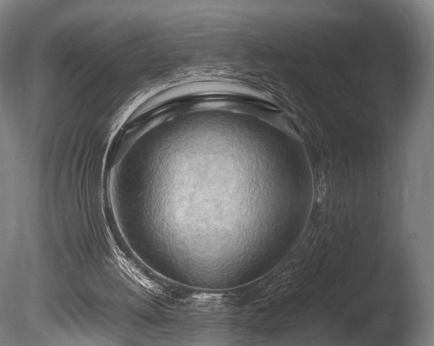 X0000085290052200703161501