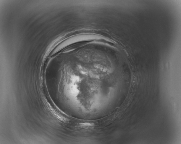 X0000085290053200703161501