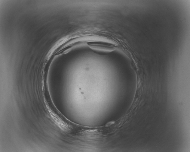 X0000085290054200703161501