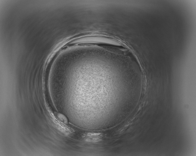 X0000085290055200703161501