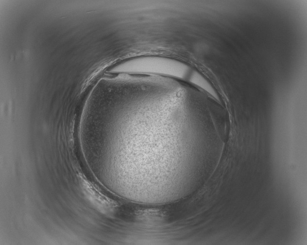 X0000085290058200703161501