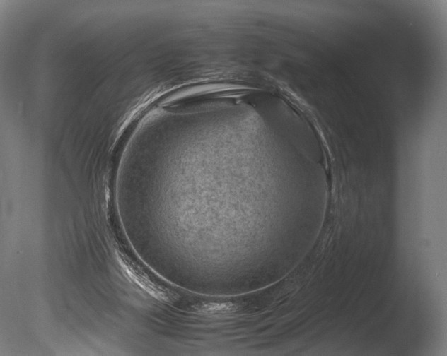 X0000085290059200703161501