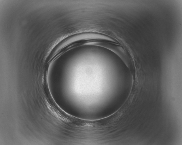 X0000085290060200703161501