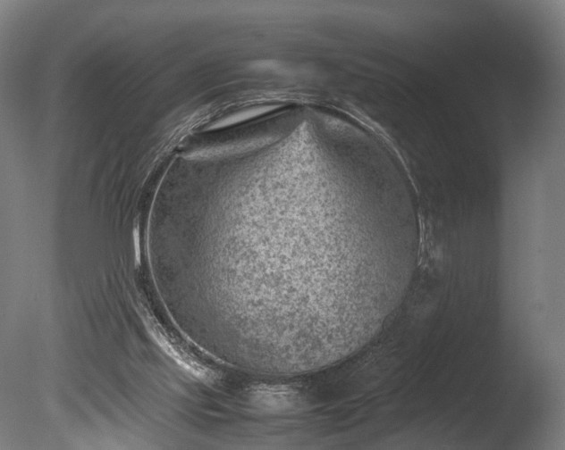 X0000085290061200703161501