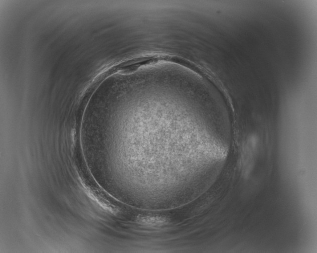 X0000085290063200703161501