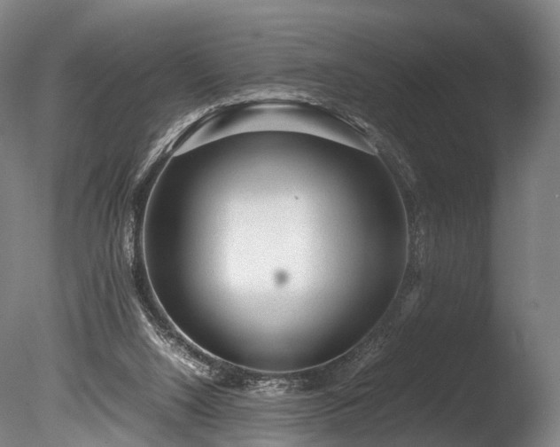 X0000085290064200703161501