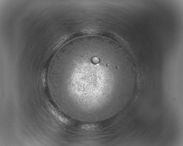 X0000085290065200703161501