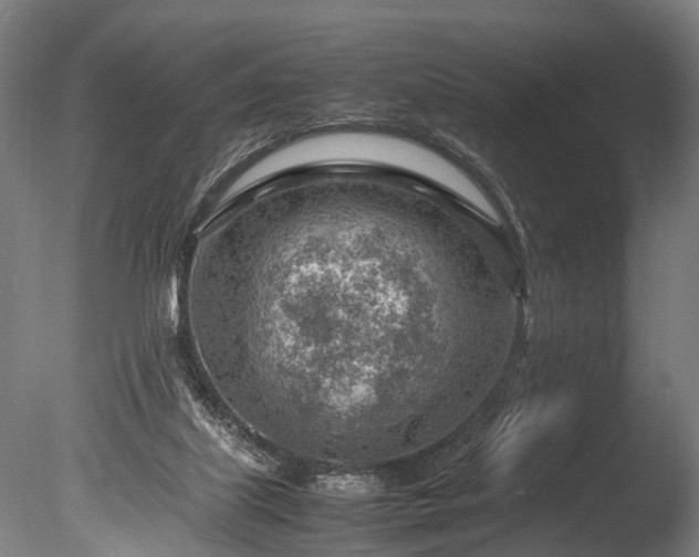 X0000085290067200703161501