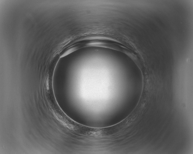 X0000085290068200703161501